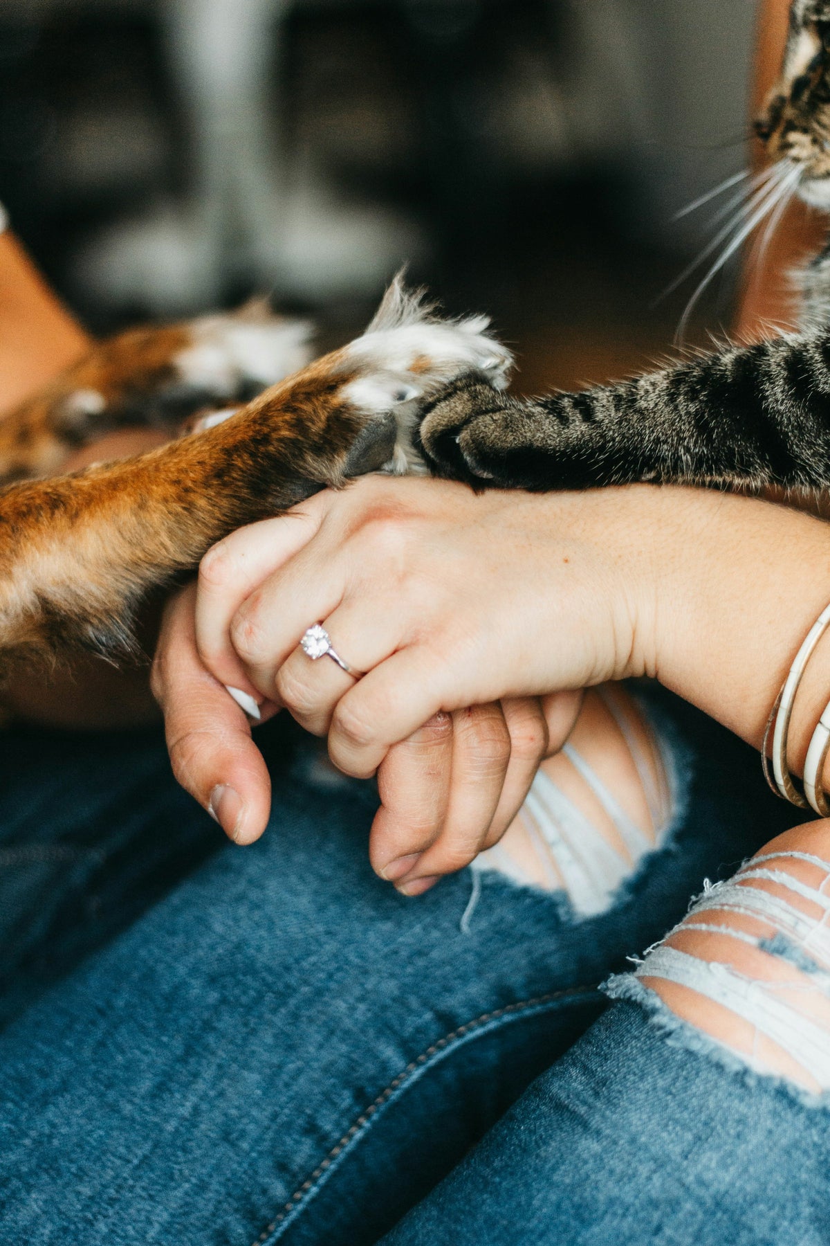 Person cozily holding a brown tabby cat at home